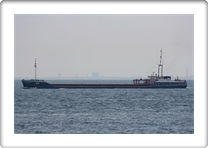 MARE    8411671 